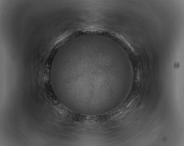 X0000100861350200806201207