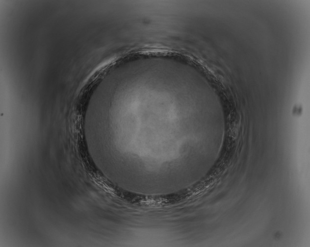 X0000100861351200806201207