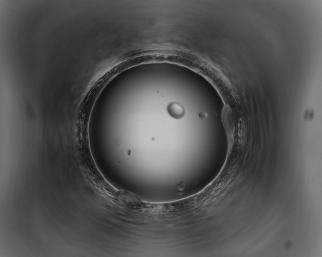 X0000100861352200806201207