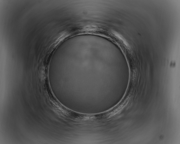 X0000100861353200806201207