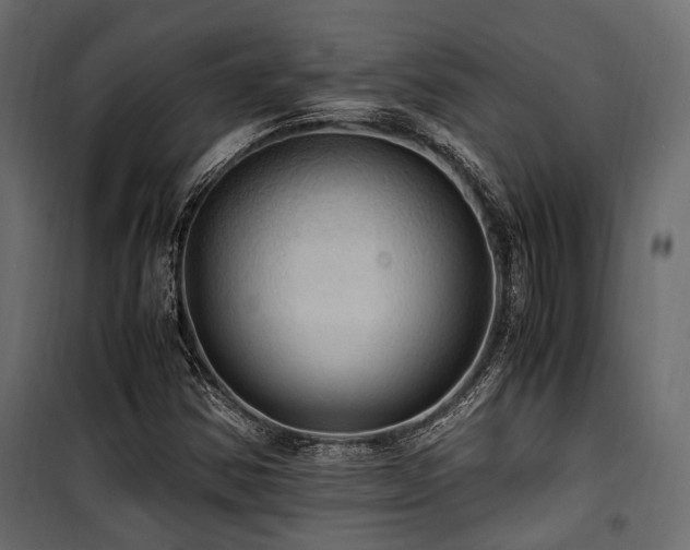 X0000100861354200806201207