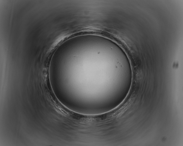 X0000100861355200806201207