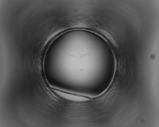 X0000100861356200806201207