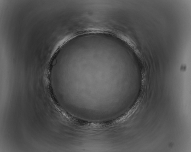 X0000100861357200806201207