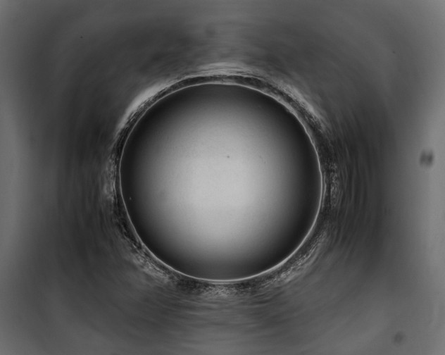 X0000100861358200806201207