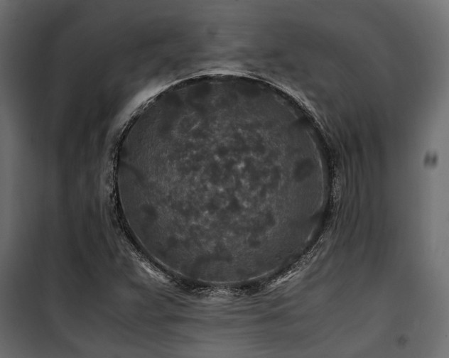 X0000100861359200806201207