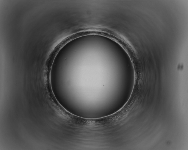 X0000100861360200806201207