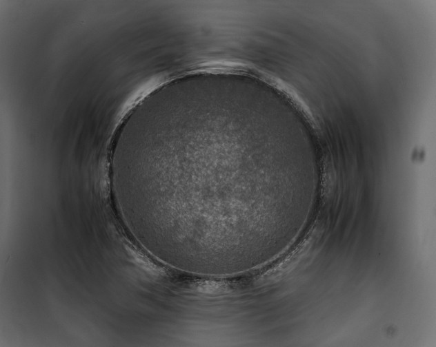 X0000100861362200806201207