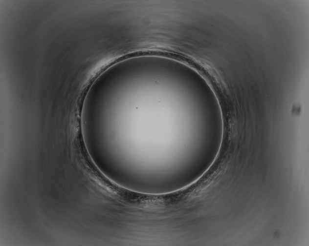 X0000100861363200806201207