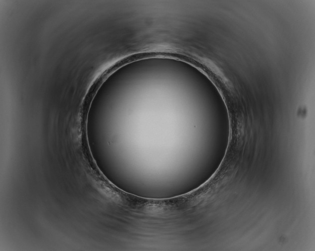 X0000100861364200806201207