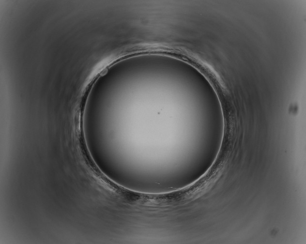 X0000100861365200806201207