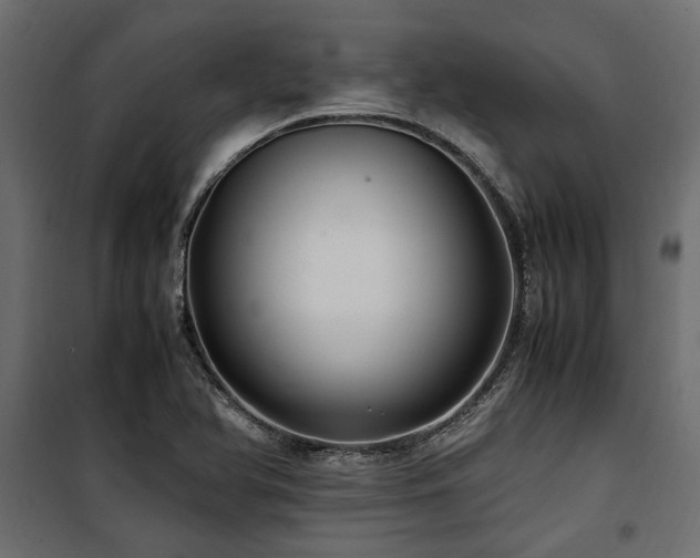 X0000100861366200806201207