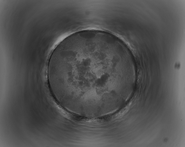 X0000100861367200806201207