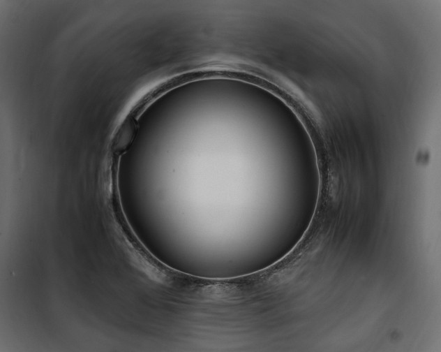 X0000100861368200806201207