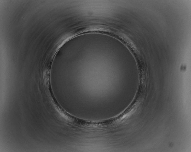 X0000100861369200806201207