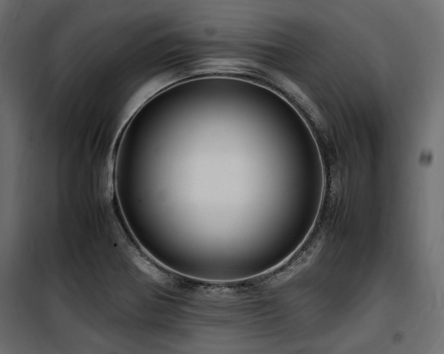 X0000100861370200806201207