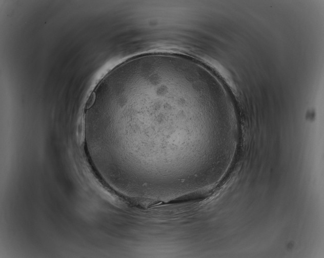 X0000100861371200806201207