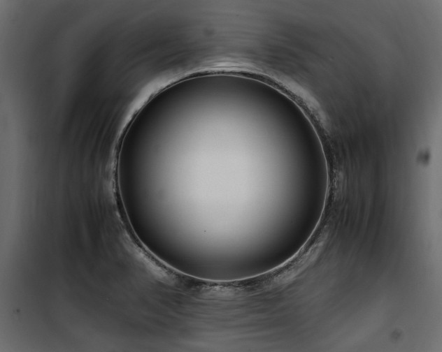 X0000100861374200806201207