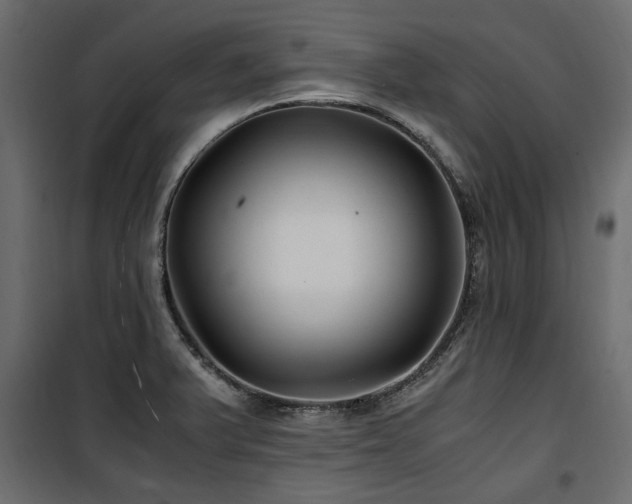 X0000100861375200806201207