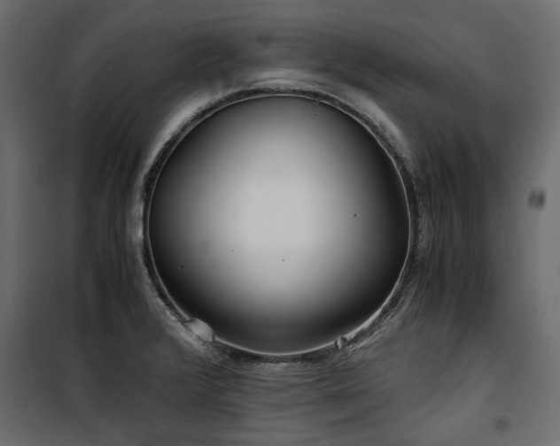 X0000100861376200806201207