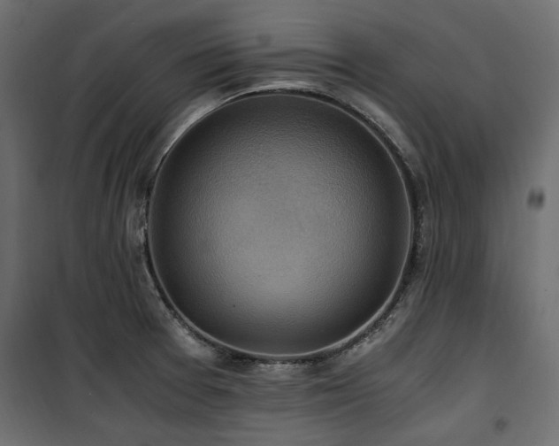 X0000100861377200806201207