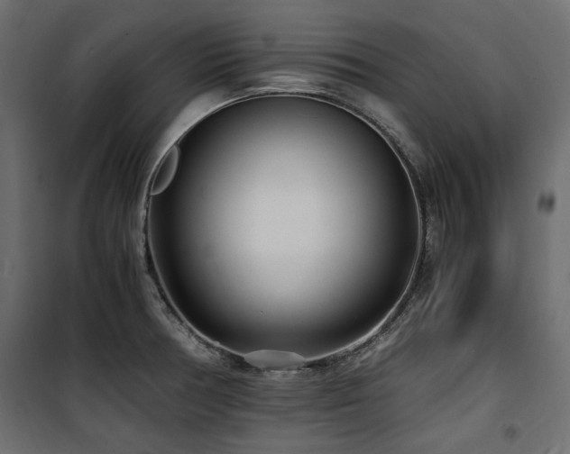 X0000100861378200806201207