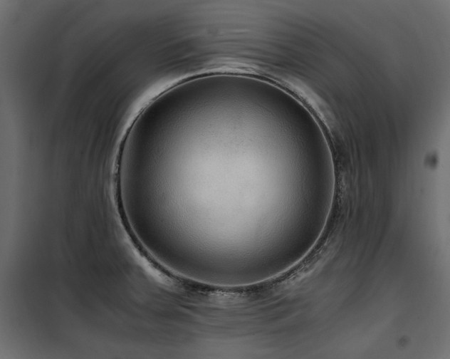 X0000100861379200806201207