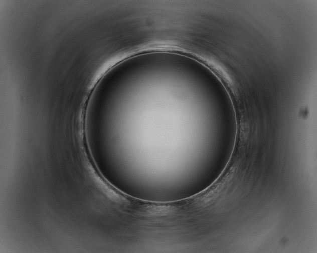 X0000100861382200806201206