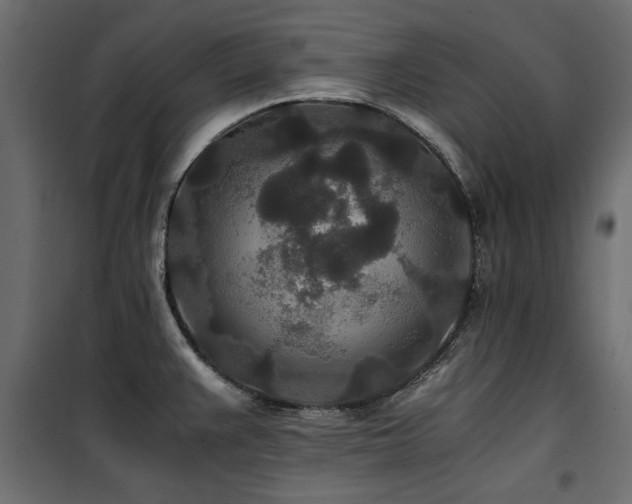 X0000100861383200806201206