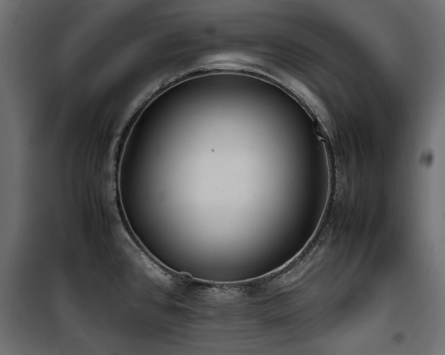 X0000100861384200806201206