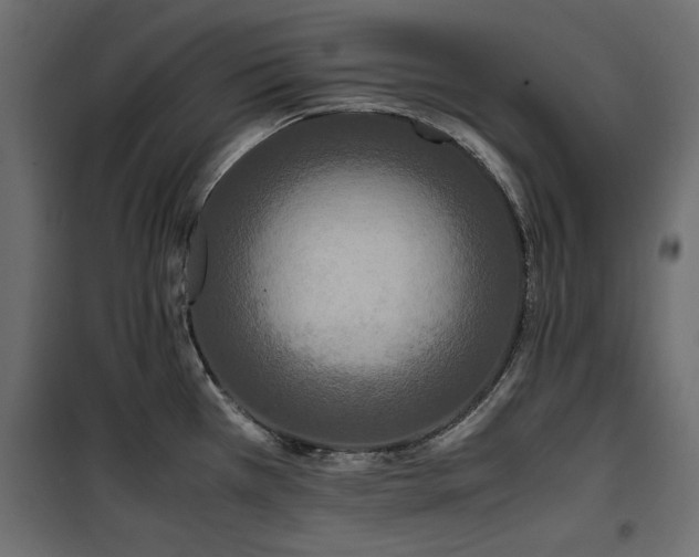 X0000100861385200806201206