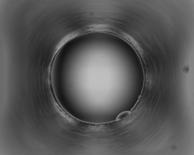 X0000100861386200806201206