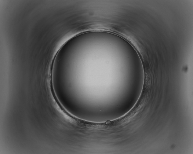 X0000100861387200806201206