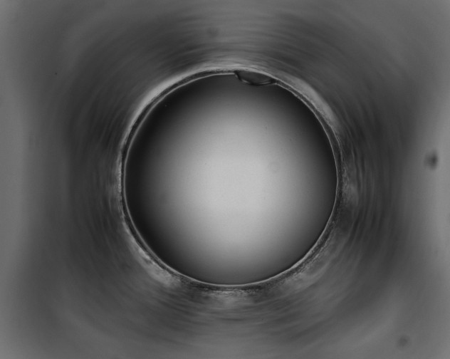 X0000100861388200806201206