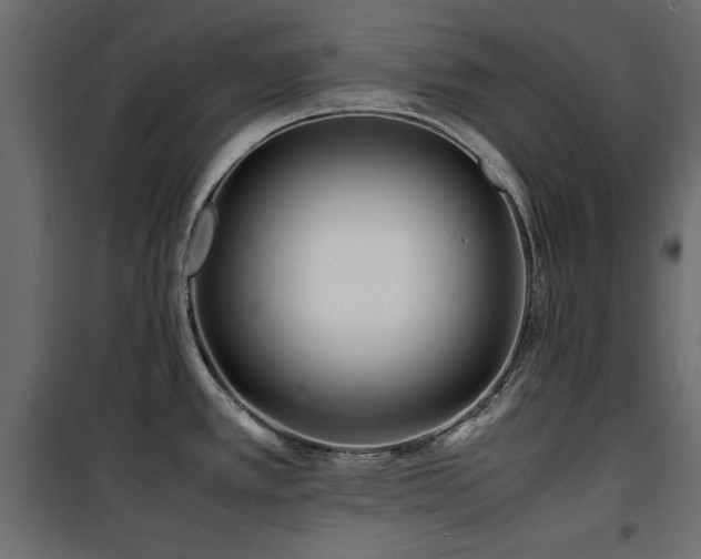 X0000100861389200806201206