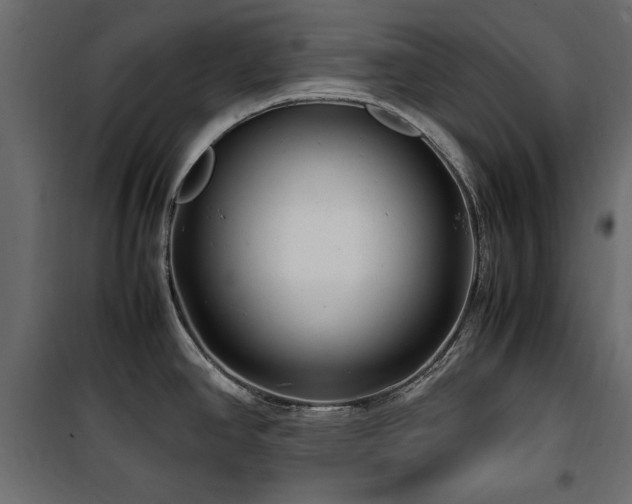 X0000100861390200806201206