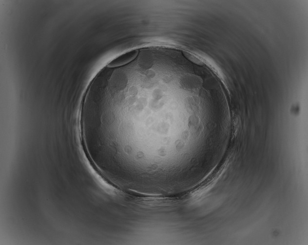 X0000100861391200806201206