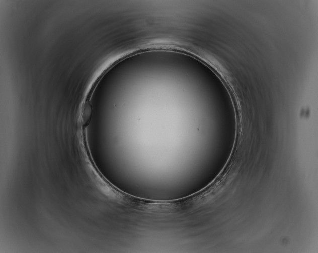 X0000100861392200806201206