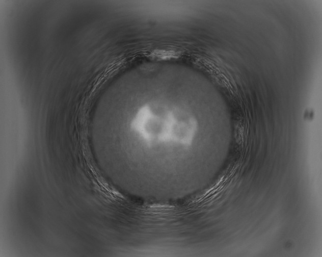 X0000100861393200806201206