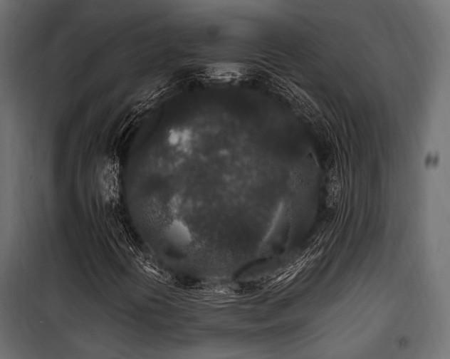 X0000100861394200806201206