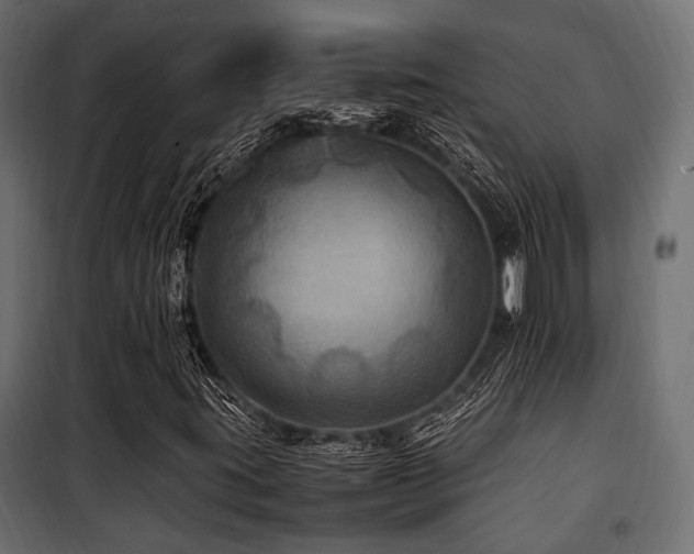 X0000100861395200806201206