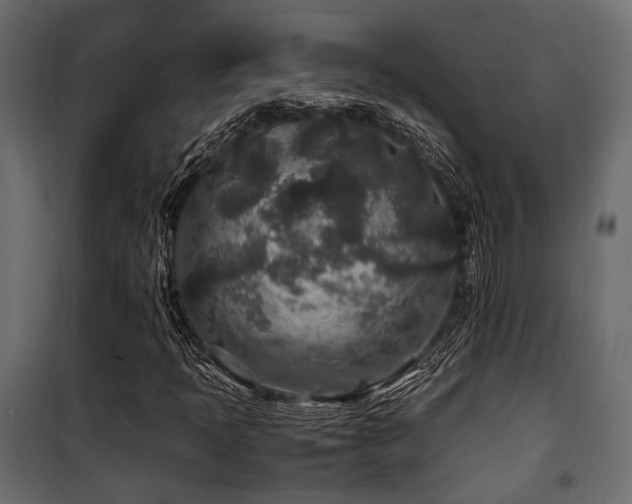 X0000100861397200806201206