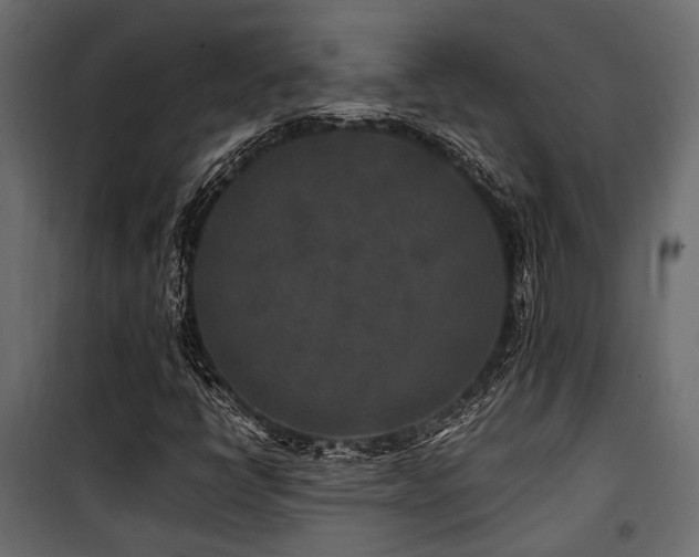 X0000100861398200806201206