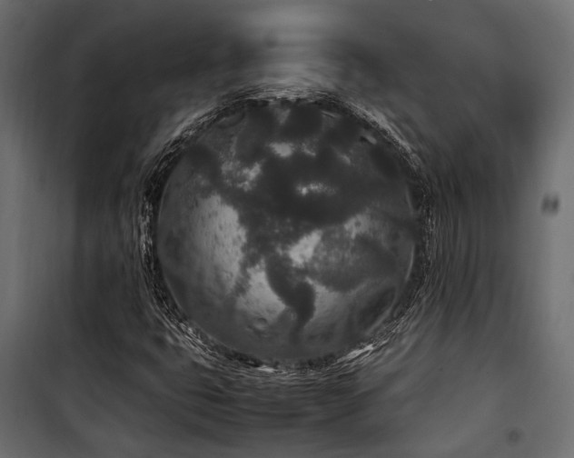 X0000100861399200806201206