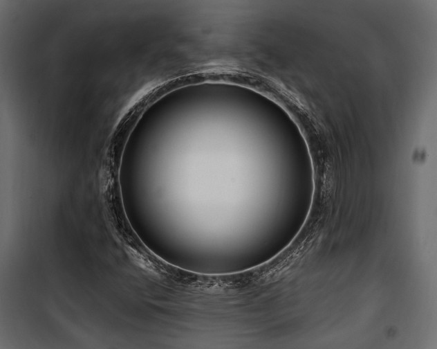 X0000100861400200806201206