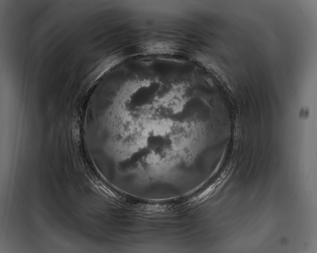 X0000100861401200806201206