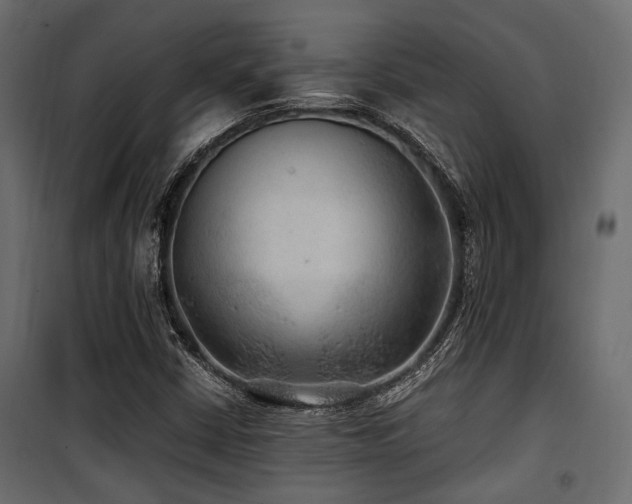 X0000100861402200806201206