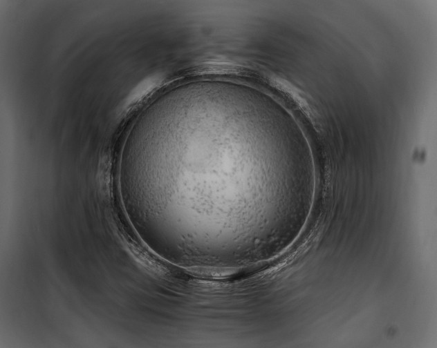 X0000100861403200806201206