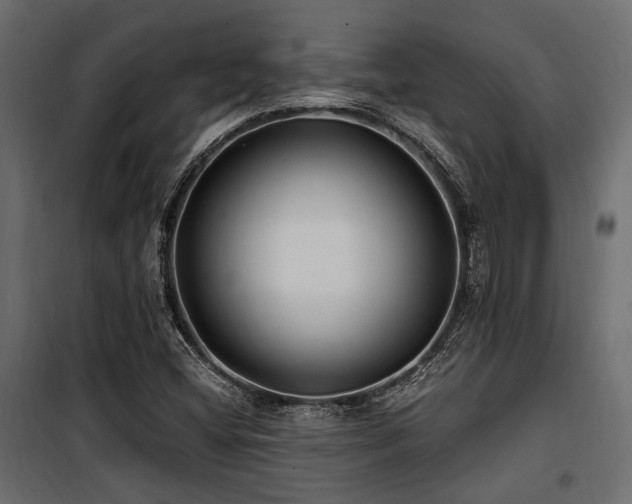 X0000100861404200806201206