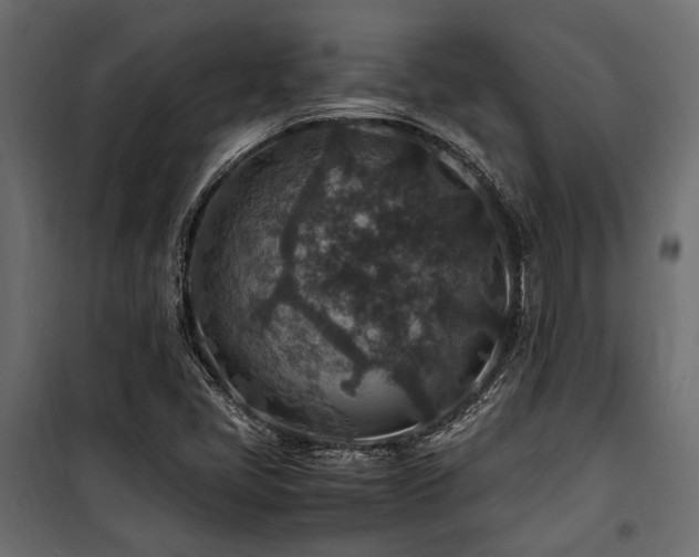 X0000100861405200806201206